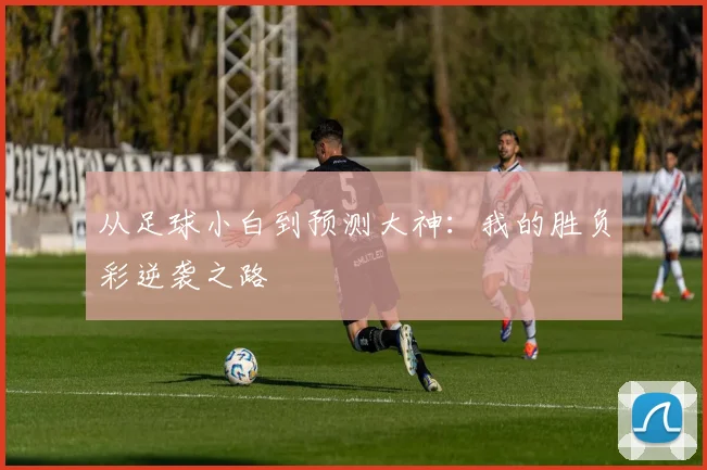 从足球小白到预测大神：我的胜负彩逆袭之路