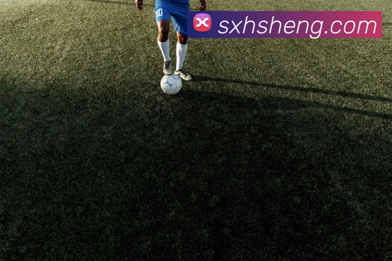 奖项图3